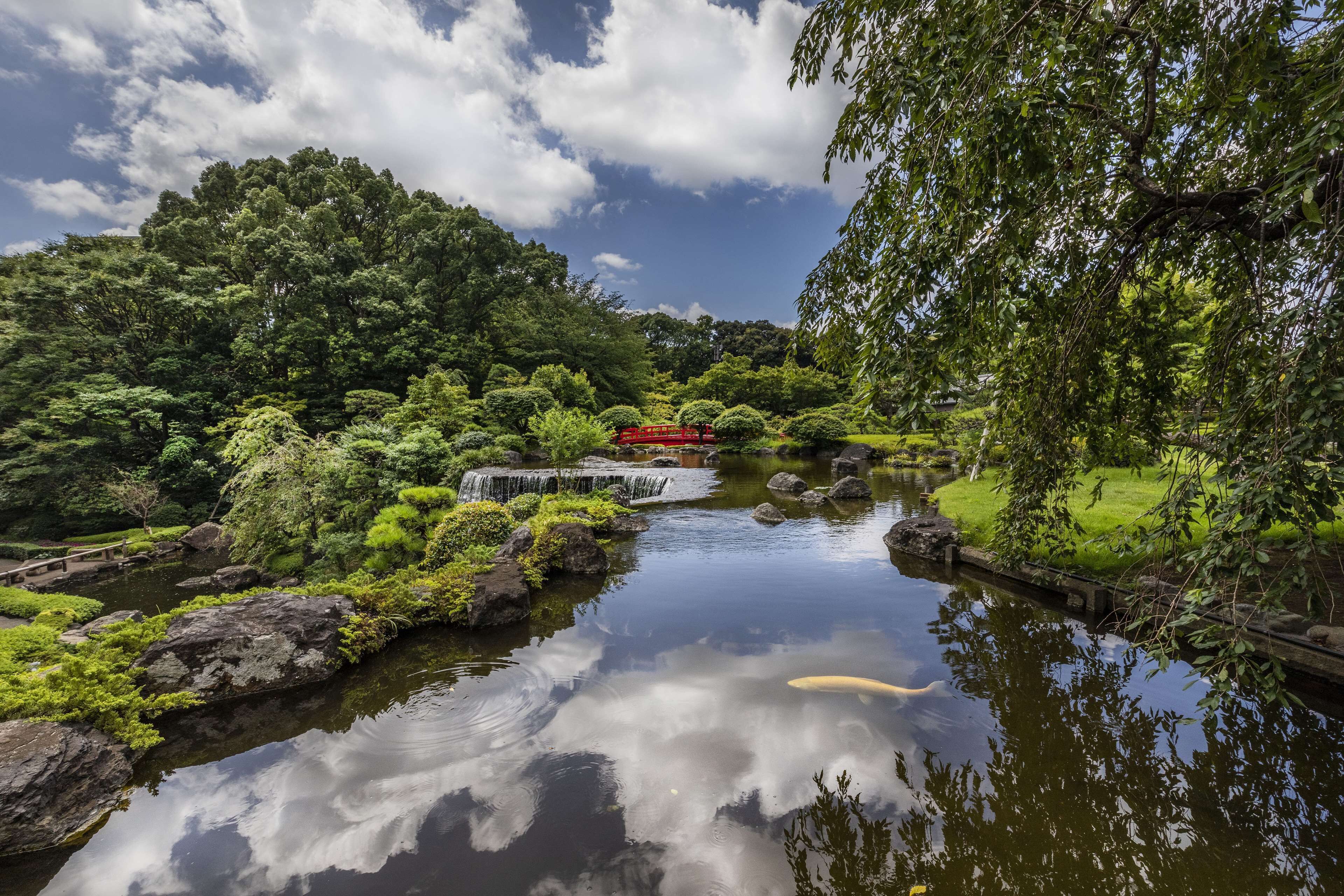 A serene garden with a pond, lush greenery, and a red bridge.