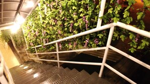 A staircase with white railings and a wall covered in green foliage and purple flowers. - Apple 1 Hotel Gurney (George Town)
