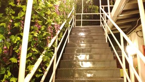 A staircase with metal railings and a wall covered in green foliage and purple flowers. - Apple 1 Hotel Gurney (George Town)