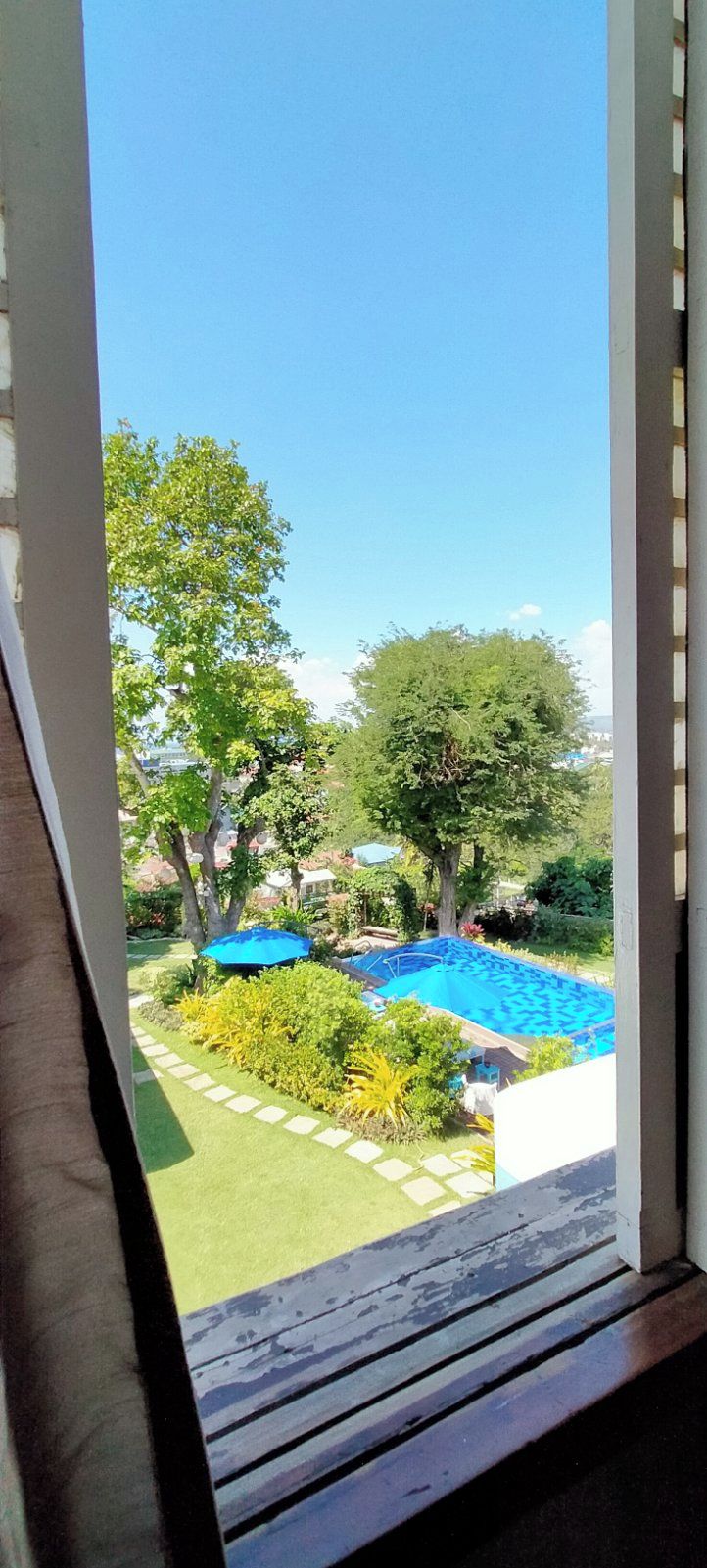 Vista desde una ventana con vista a una piscina, rodeada de follaje y árboles.