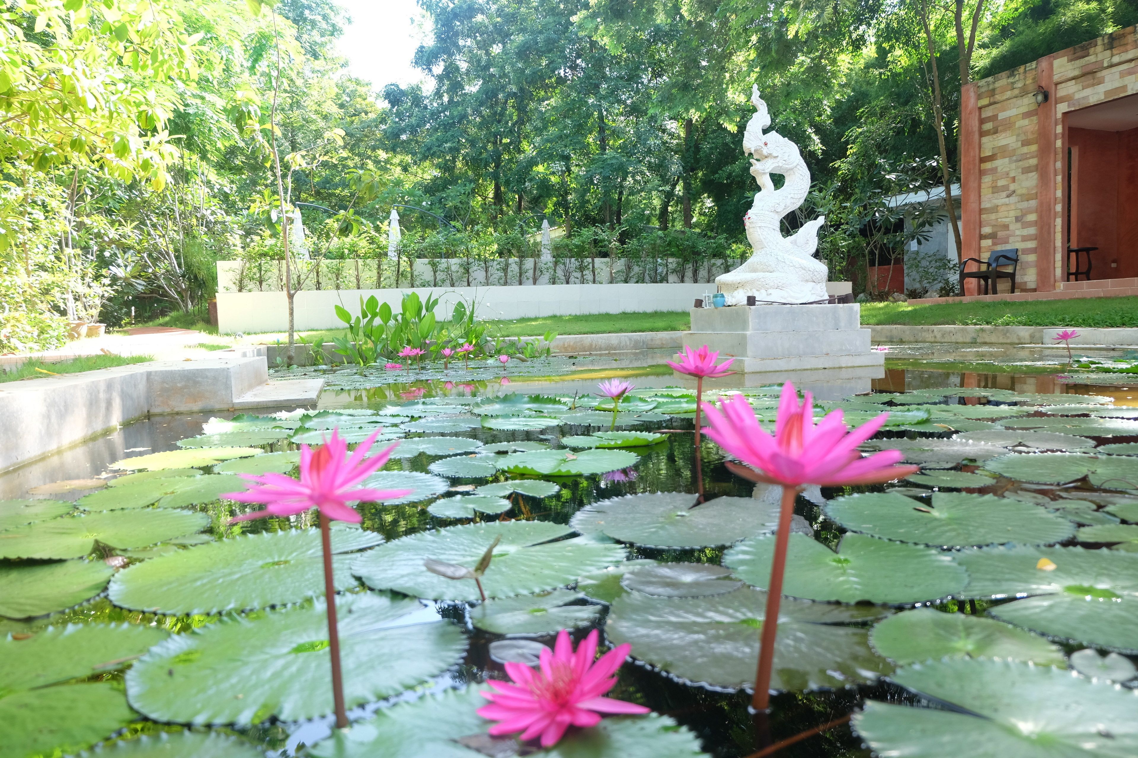 A serene garden with a pond, lotus flowers, and a statue.