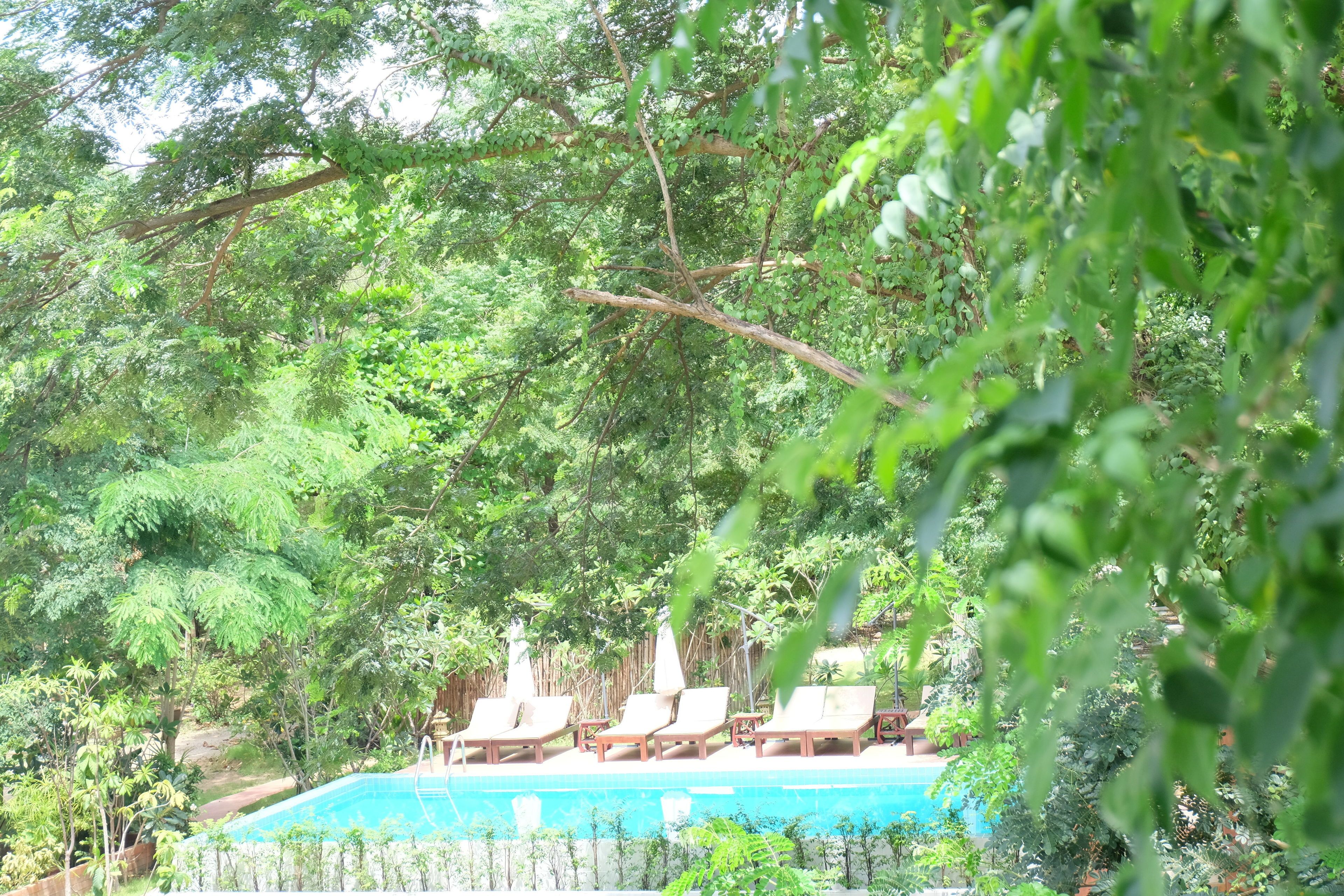 Un área de piscina con sillas de descanso y vistas a vegetación exuberante.