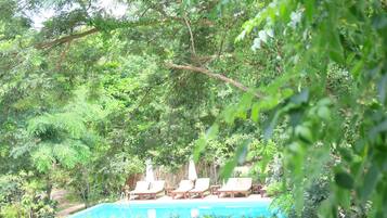 Un área de piscina con sillas de descanso y vistas a vegetación exuberante.