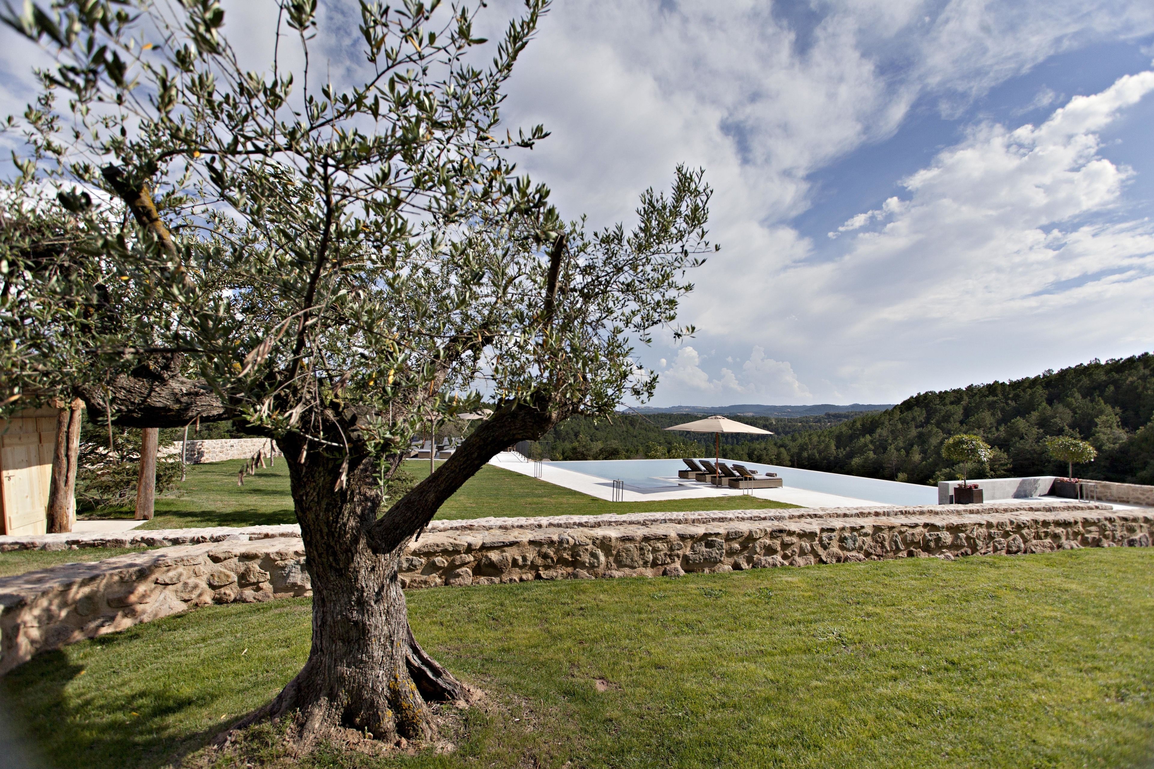 Zona exterior arbolada con muro de piedra, césped y vista a un paisaje distante.