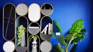 Paret amb prestatgeries circulars que contenen diversos objectes, com una planta i una petita figura.