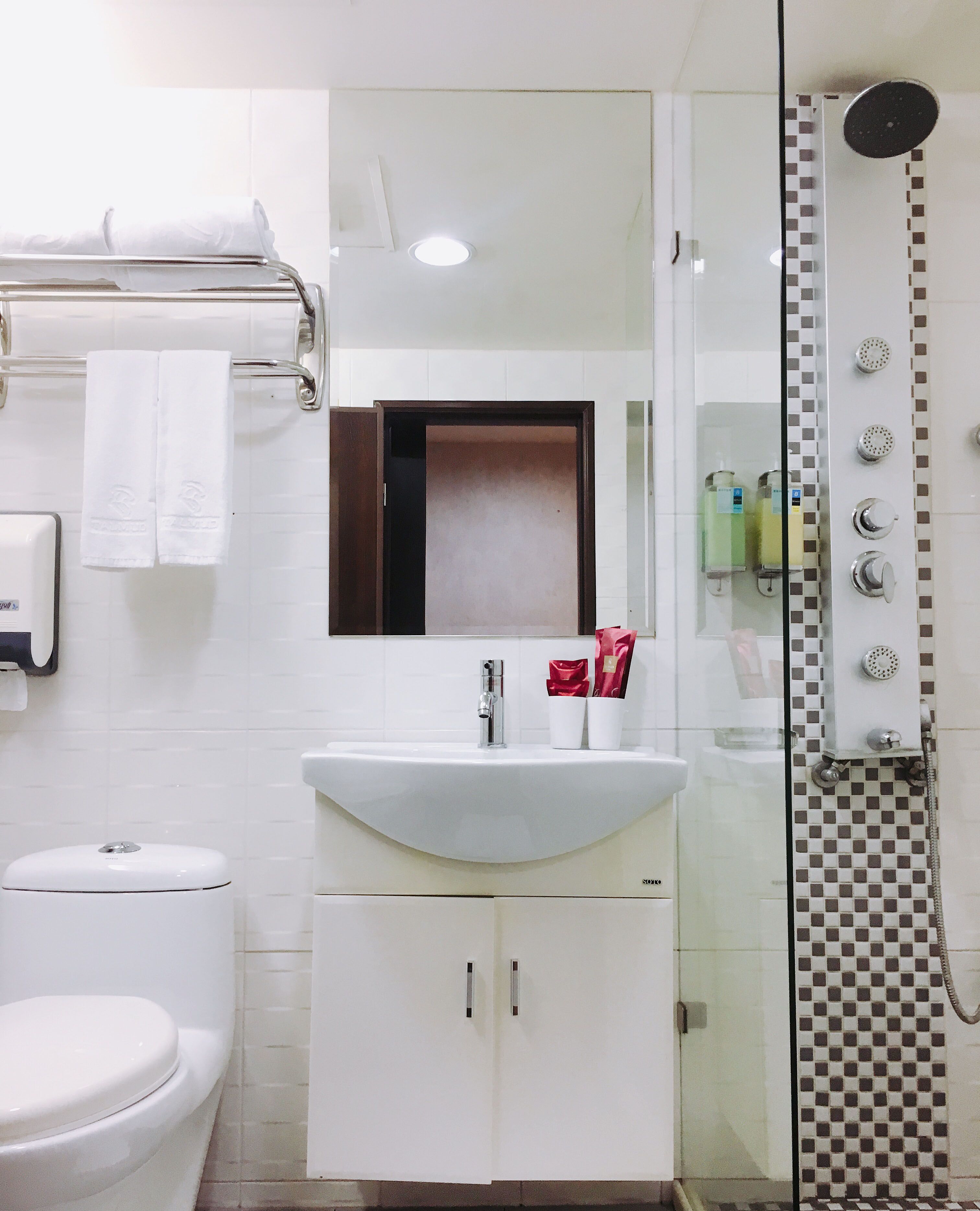 Shower, hair dryer, towels