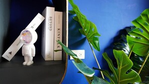 Una estanteria amb llibres titulats 'Beyond' i 'Kinfolk', una petita figura decorativa i una planta.