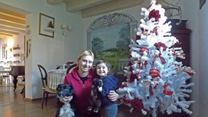 A room with a white Christmas tree, a dining table, and chairs. - Agriturismo Monaci Templari (Seborga)