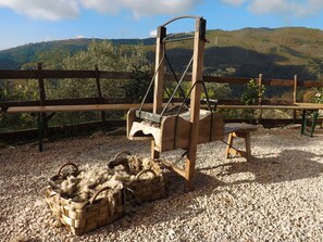 Khuôn viên nơi lưu trú