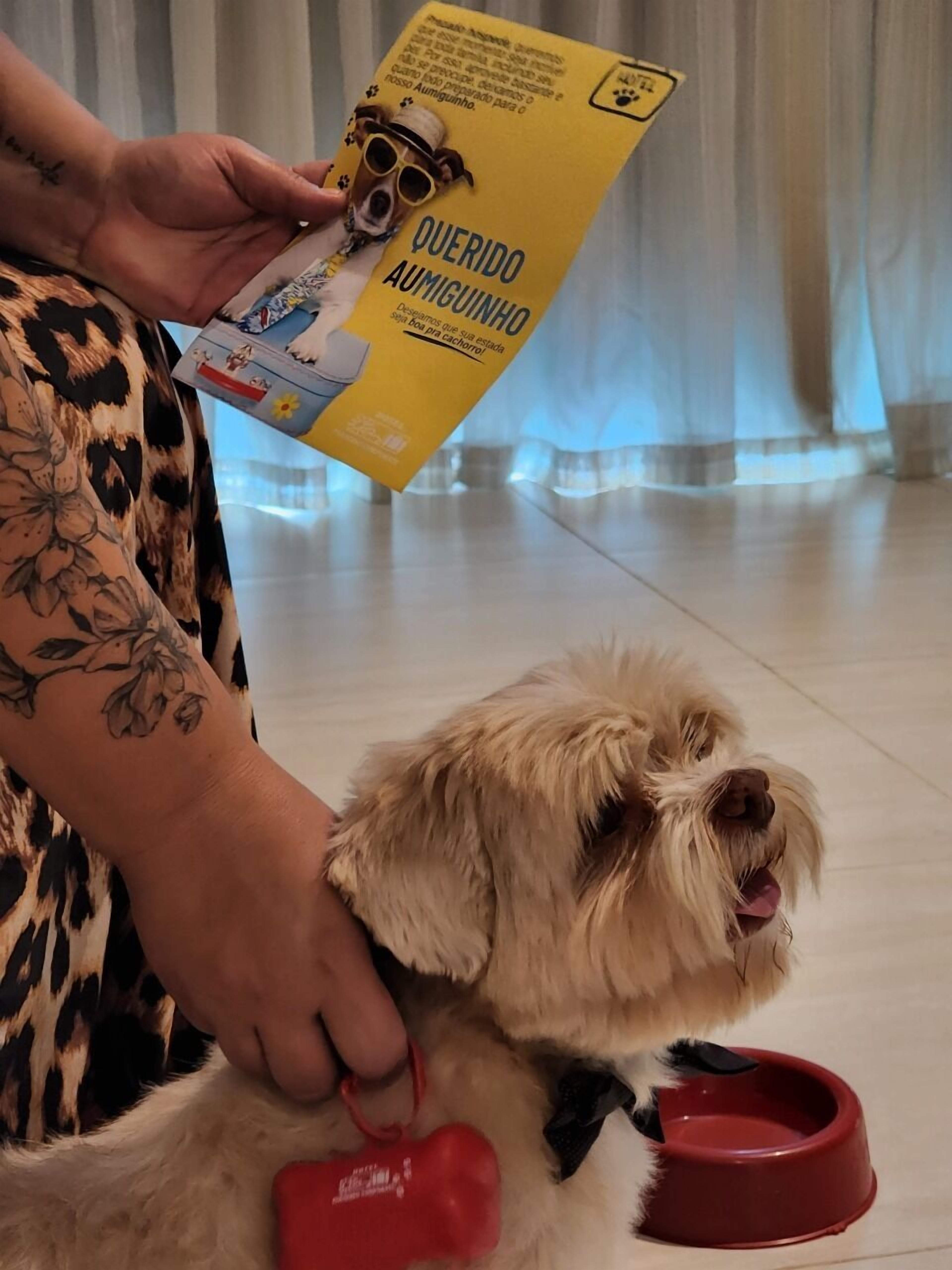 minibar, desk, laptop workspace, free wifi