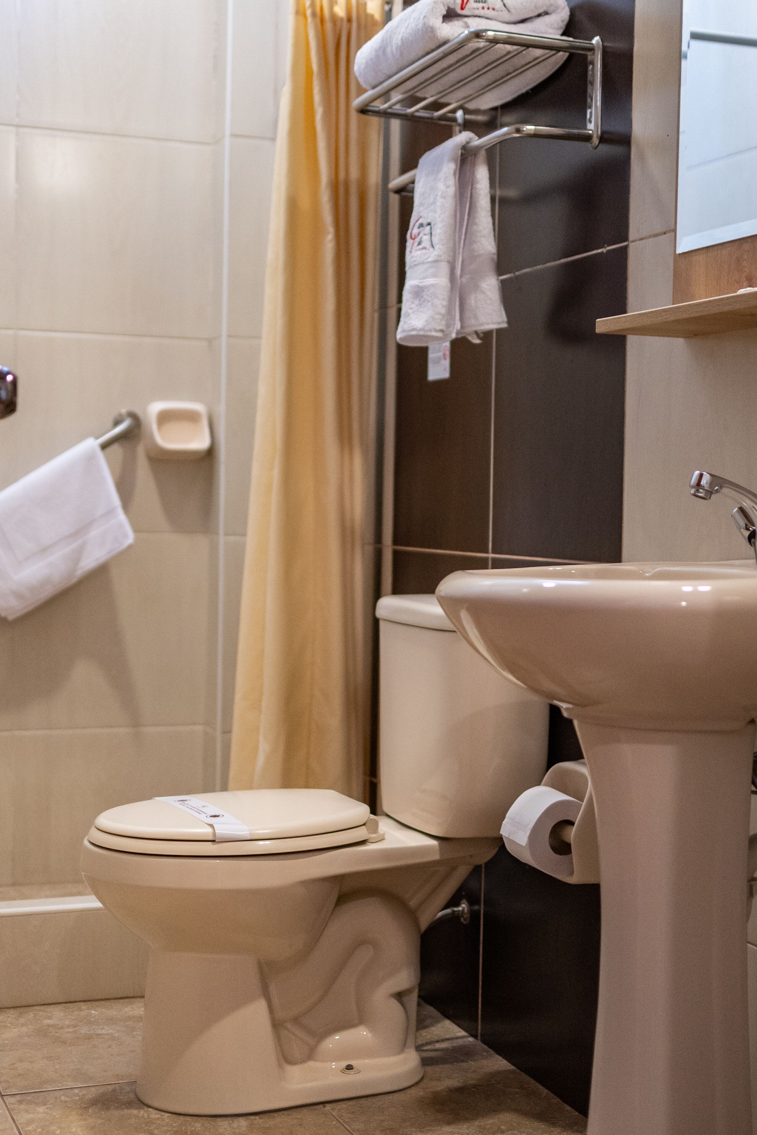 Een badkamer met toilet, wastafel en douchegordijn.