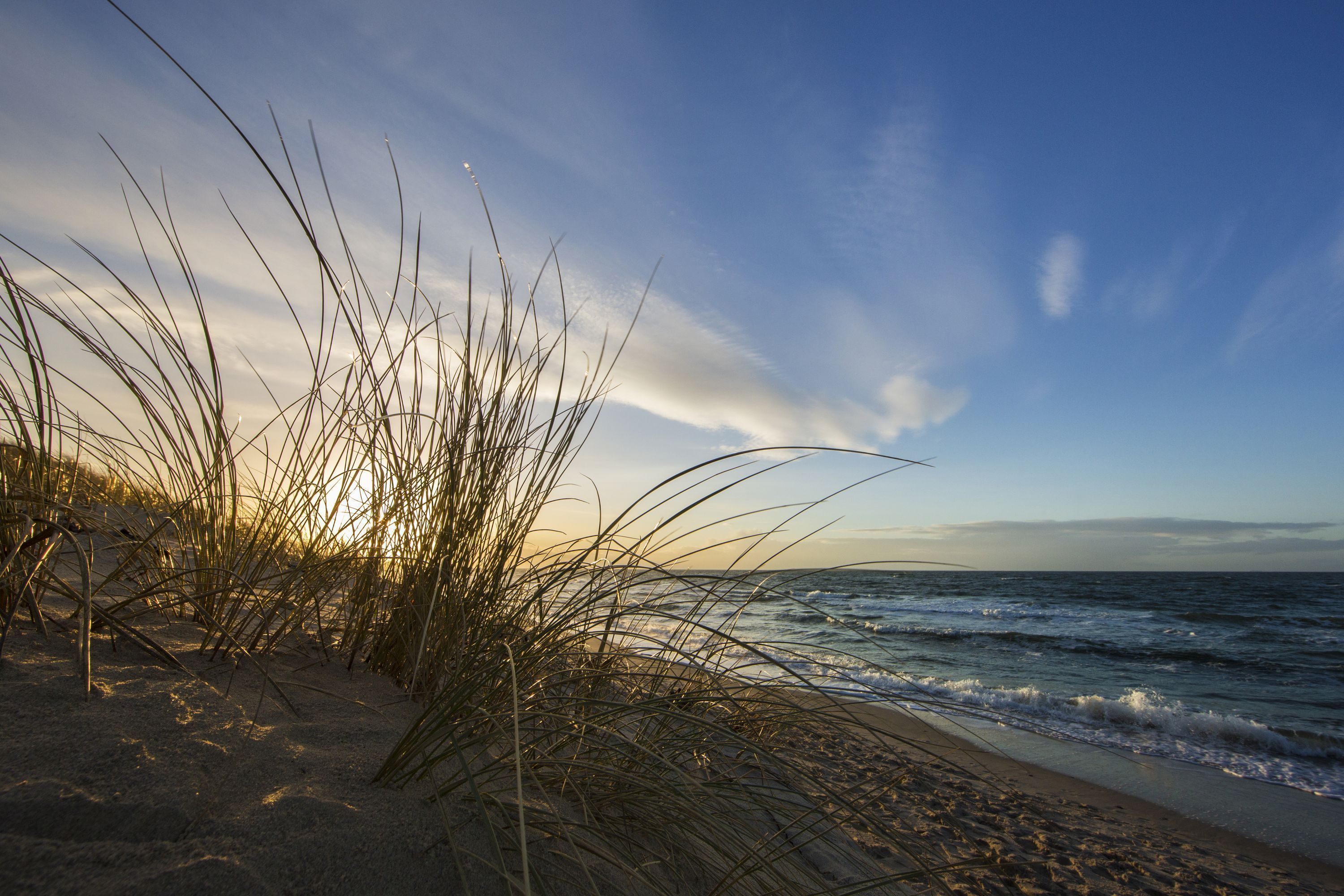 Een strand met zand en zeewier.