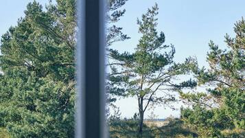 Vista a través de una ventana de un paisaje natural con árboles y un campo cubierto de hierba.