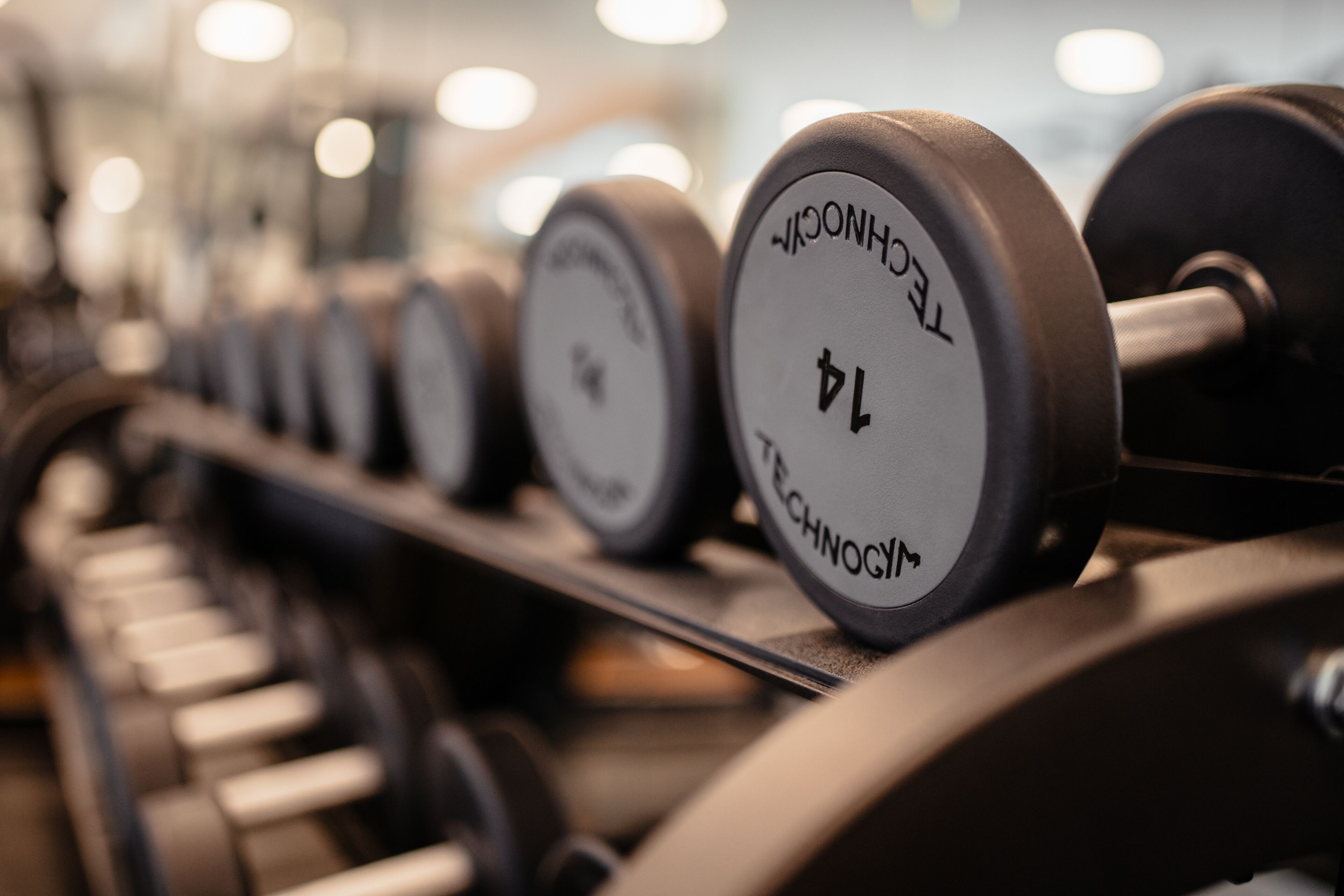 A row of dumbbells with weight markings, indicating a gym setting.