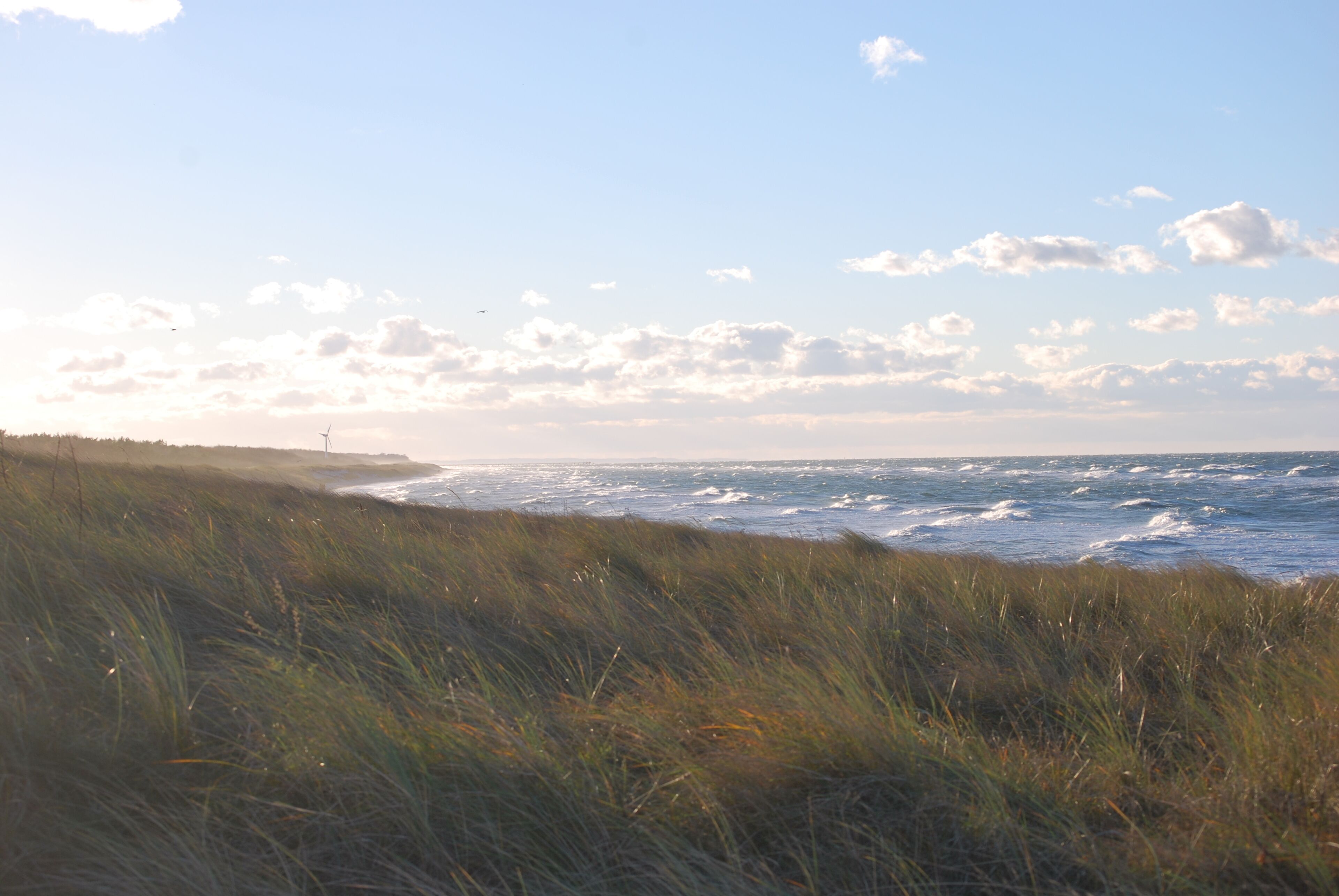 A coastal landscape with grassy dunes, a view of the ocean, and a distant wind turbine.