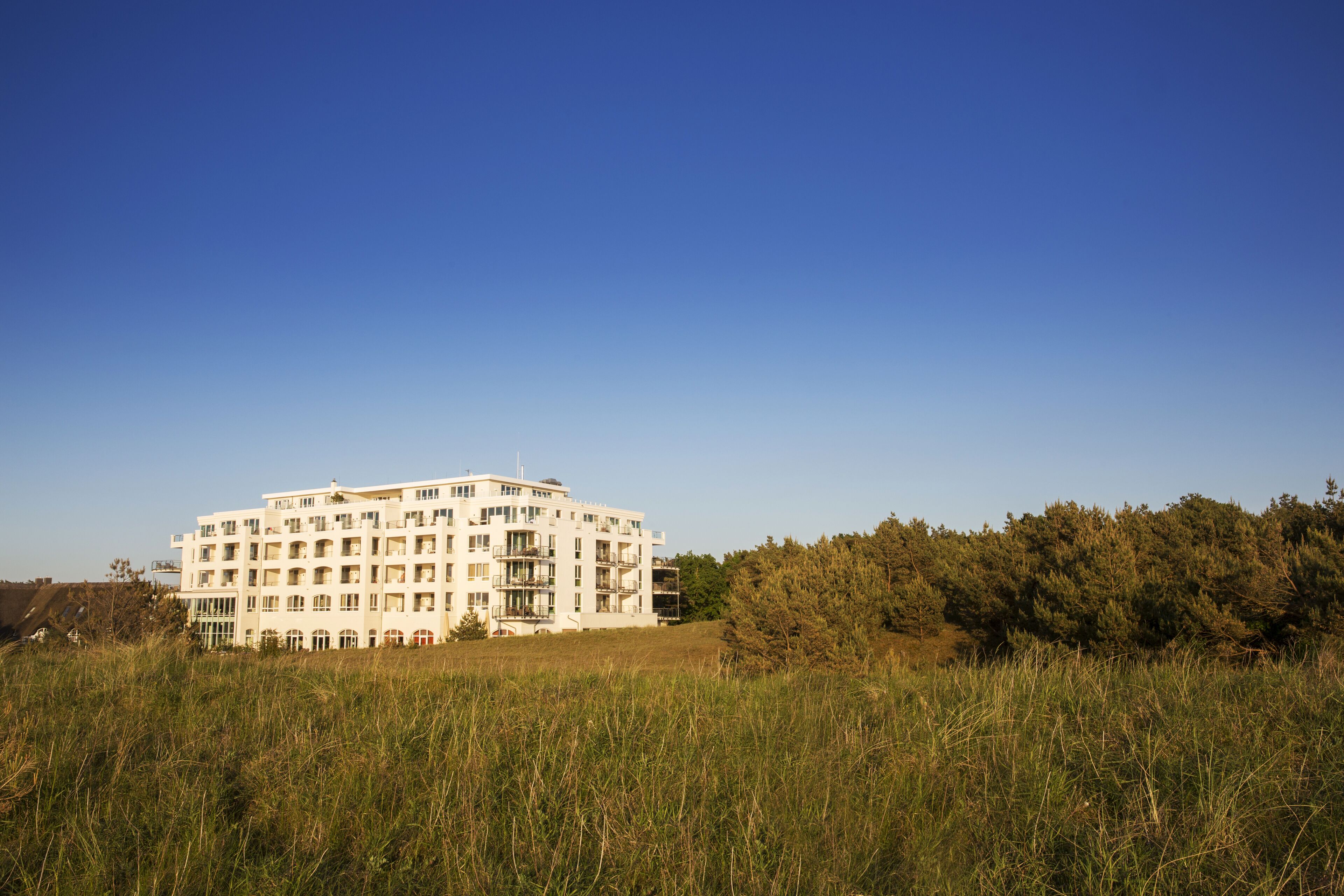 A multi-story building with a flat roof, surrounded by tall grass and trees.