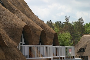Detalle exterior