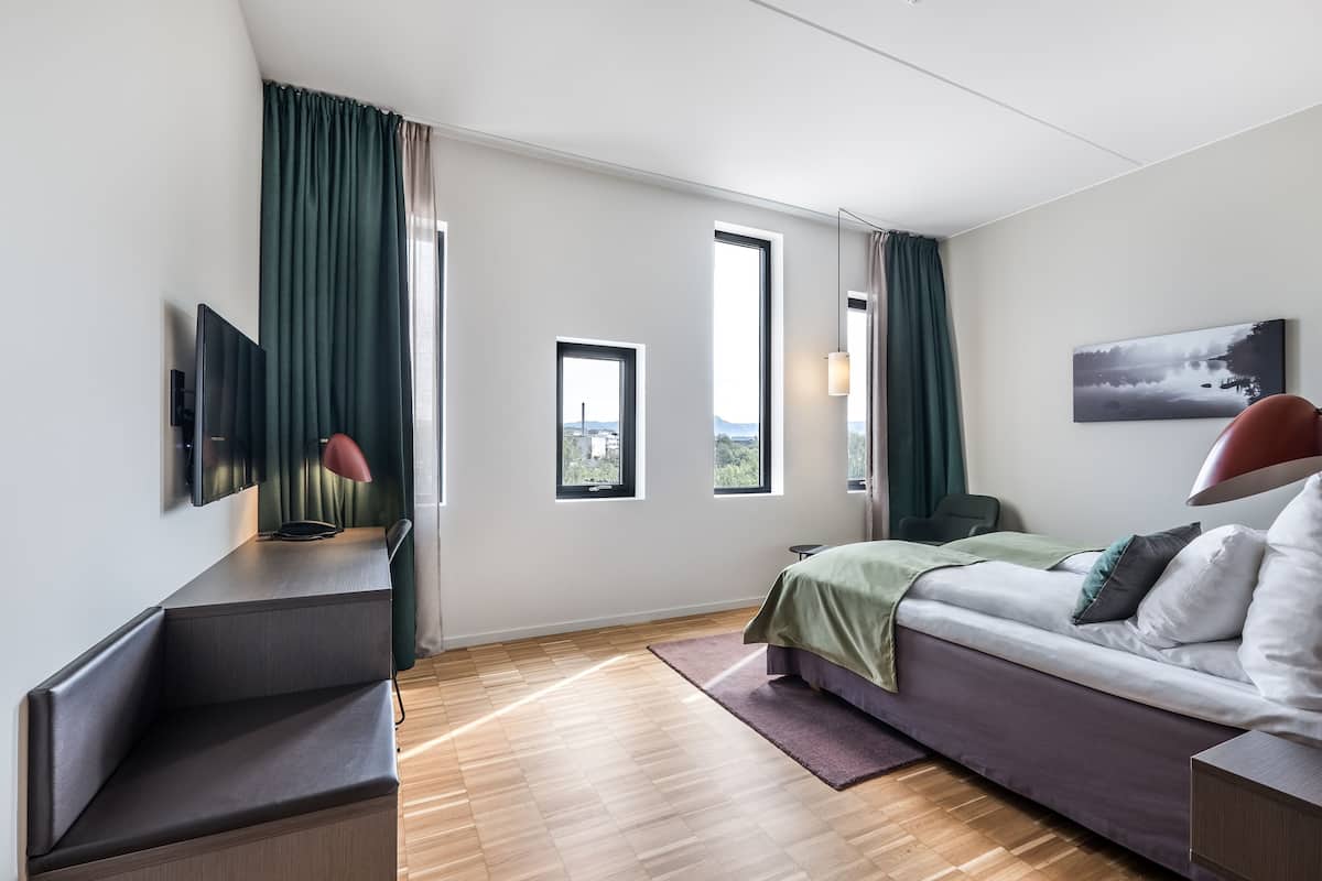 deluxe room, 2 single beds, non smoking | 1 bedroom, pillow-top beds, desk, iron/ironing board