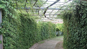 A pathway surrounded by dense green foliage, leading to a covered area with a wooden structure. - Villas da Fonte Leisure and Nature (Leiria)