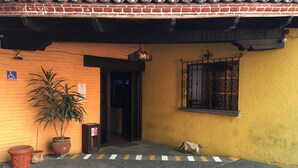 Fachada de edificio de ladrillo, una planta en maceta y un gato en el suelo.