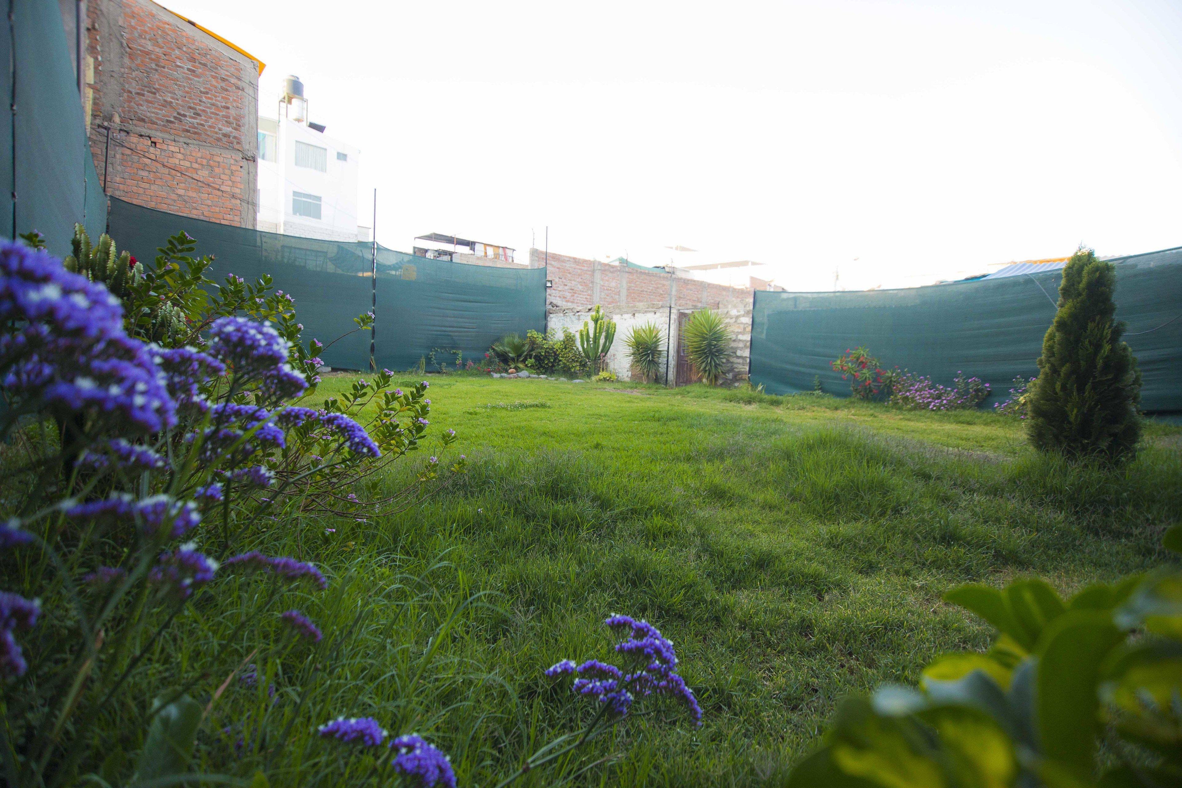 Photo - Hotel La Casona Del Olivo Arequipa