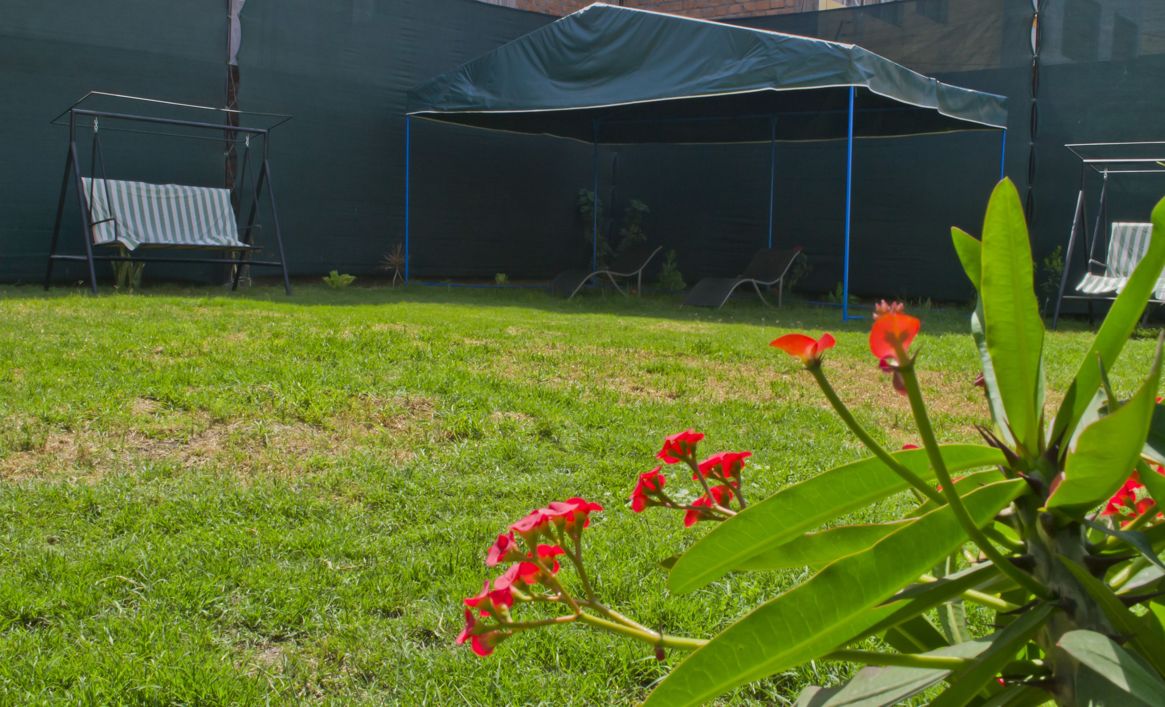 Photo - Hotel La Casona Del Olivo Arequipa