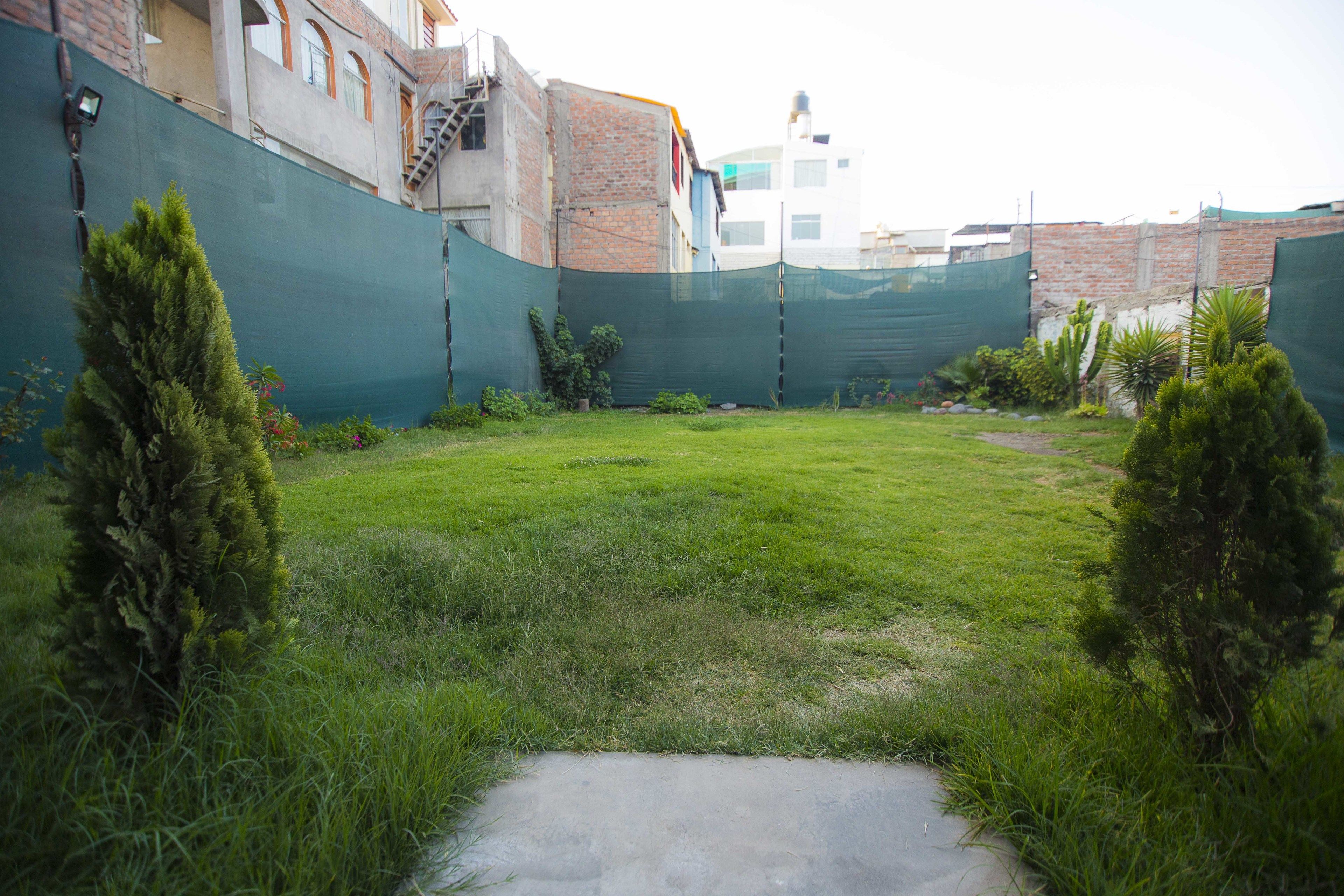 A fenced outdoor area with grass and small trees.