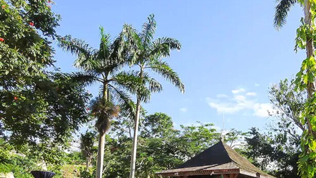 Poolside bar - The Mandeville Hotel (Mandeville)