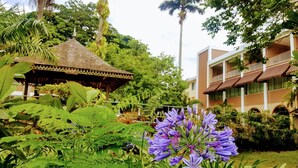 Property grounds - The Mandeville Hotel (Mandeville)