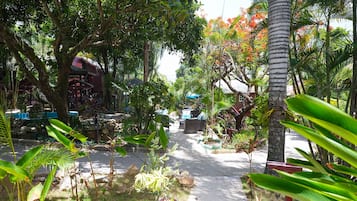 Un sendero bordeado de plantas y árboles tropicales que conduce a una zona cubierta con mobiliario exterior.