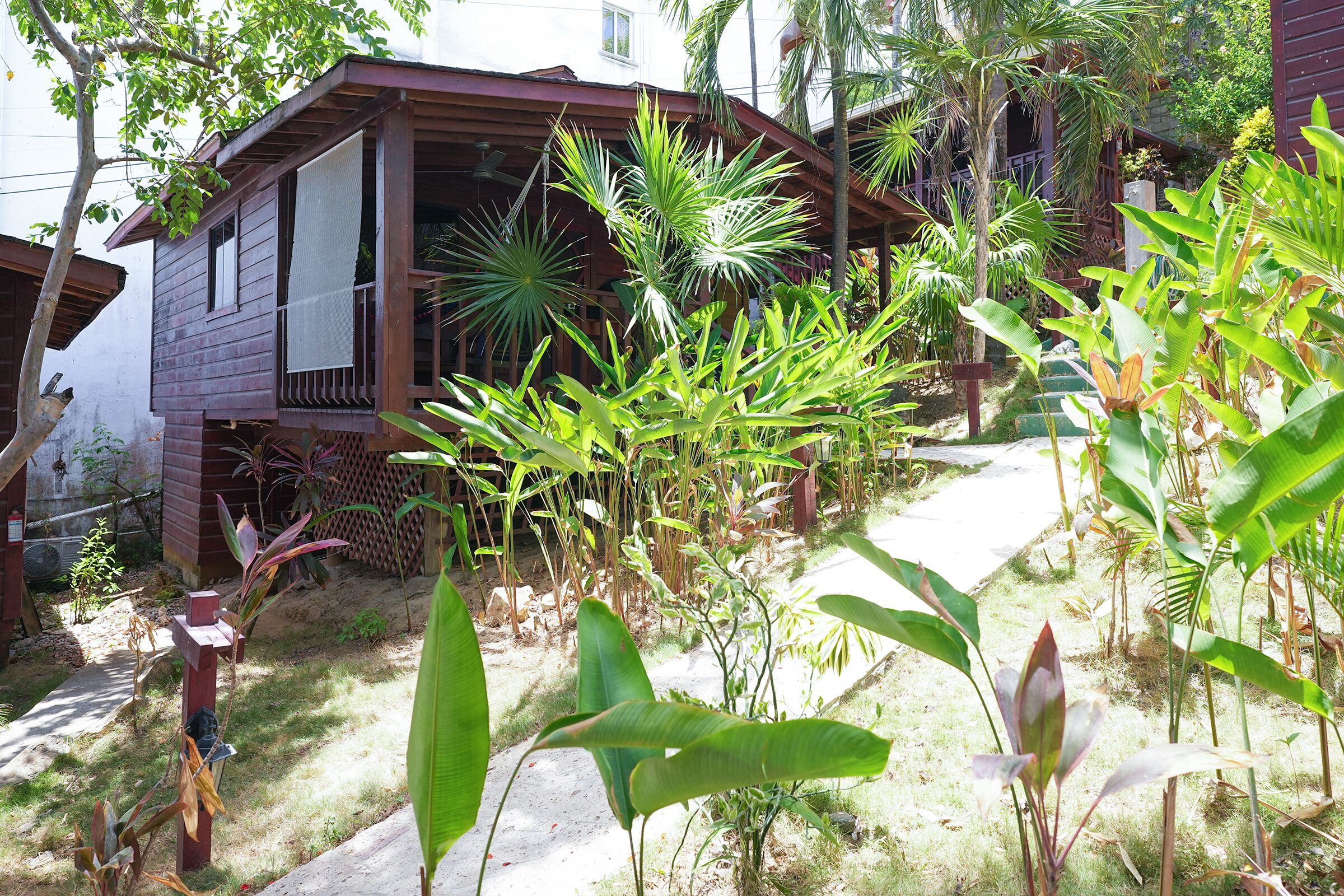 Una casa de madera con porche, rodeada de plantas tropicales.