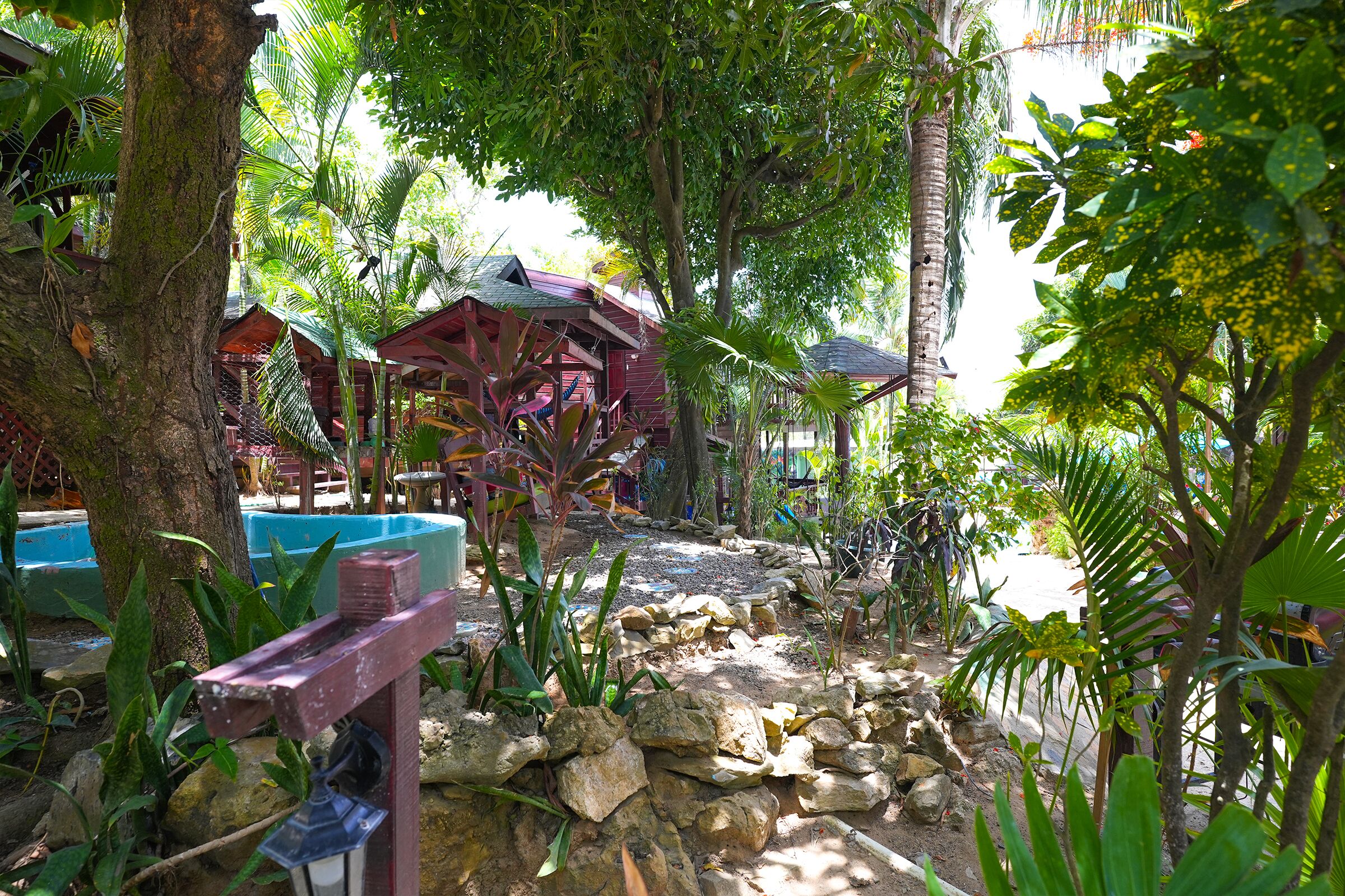 Un jardín tropical con un sendero de piedra, estructuras de madera y abundante vegetación.