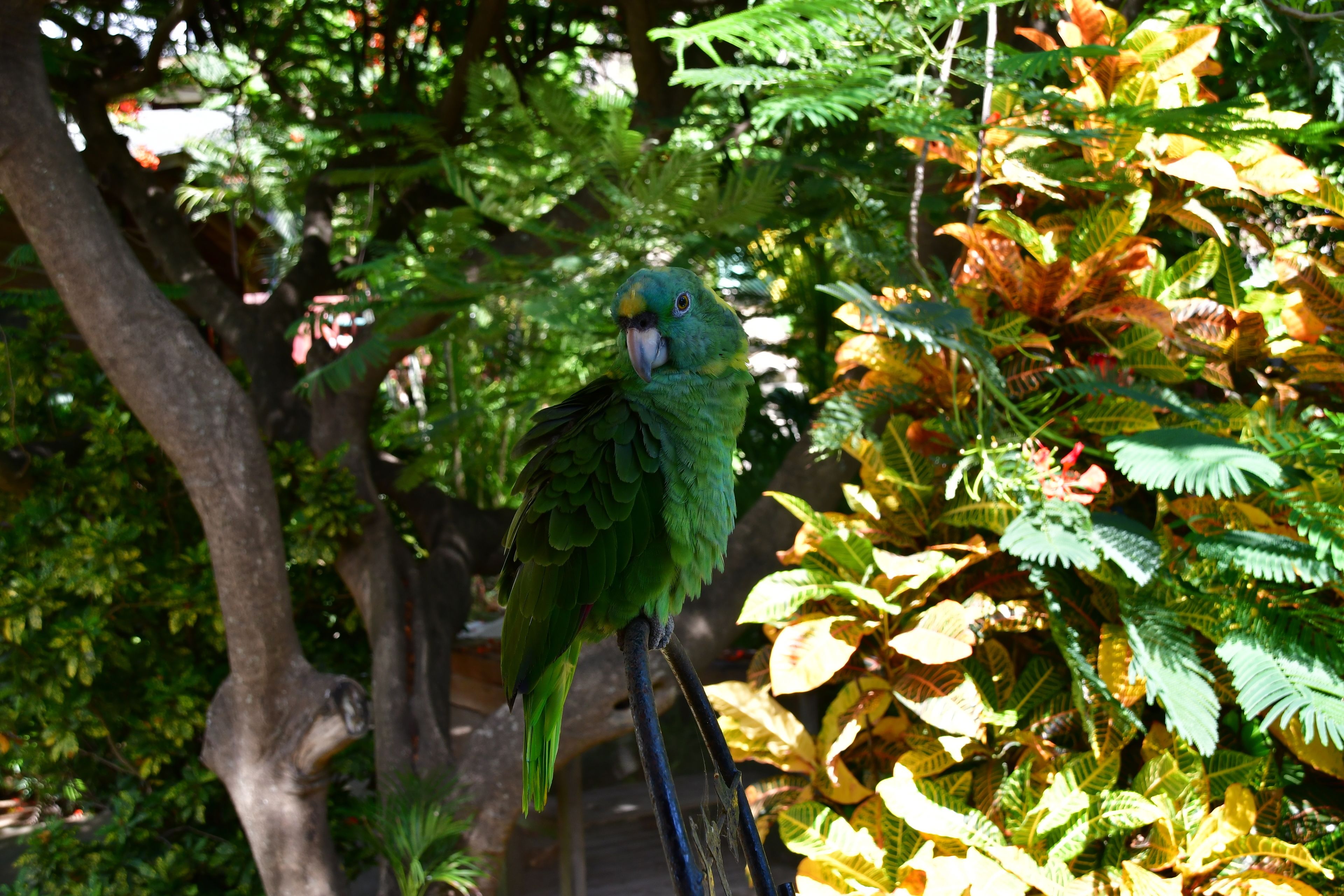 children’s play area – outdoor