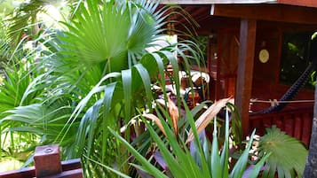 Vistas al jardín