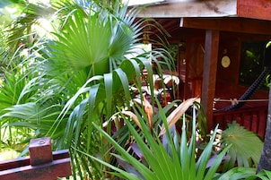 Vista al jardín