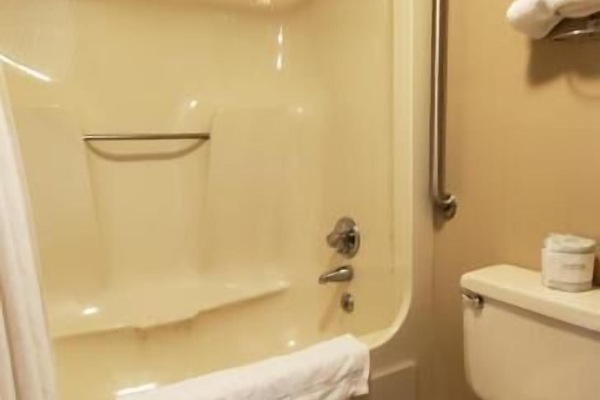 Room, 1 King Bed, Non Smoking | Bathroom | Combined shower/tub, towels, soap, shampoo