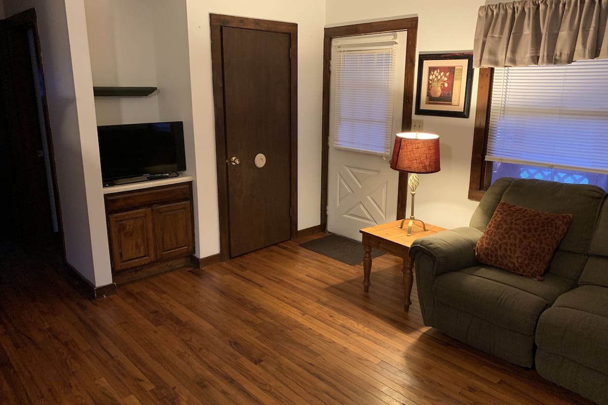 Una sala de estar con una televisión sobre un mueble de madera, una lámpara en una mesita auxiliar y un sofá verde con un cojín estampado de leopardo.
