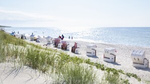 Ein Strand mit mehreren Reihen nummerierter Liegen und Sonnenschirmen, ein sandiger Vordergrund mit Gras und freie Sicht auf den Ozean.