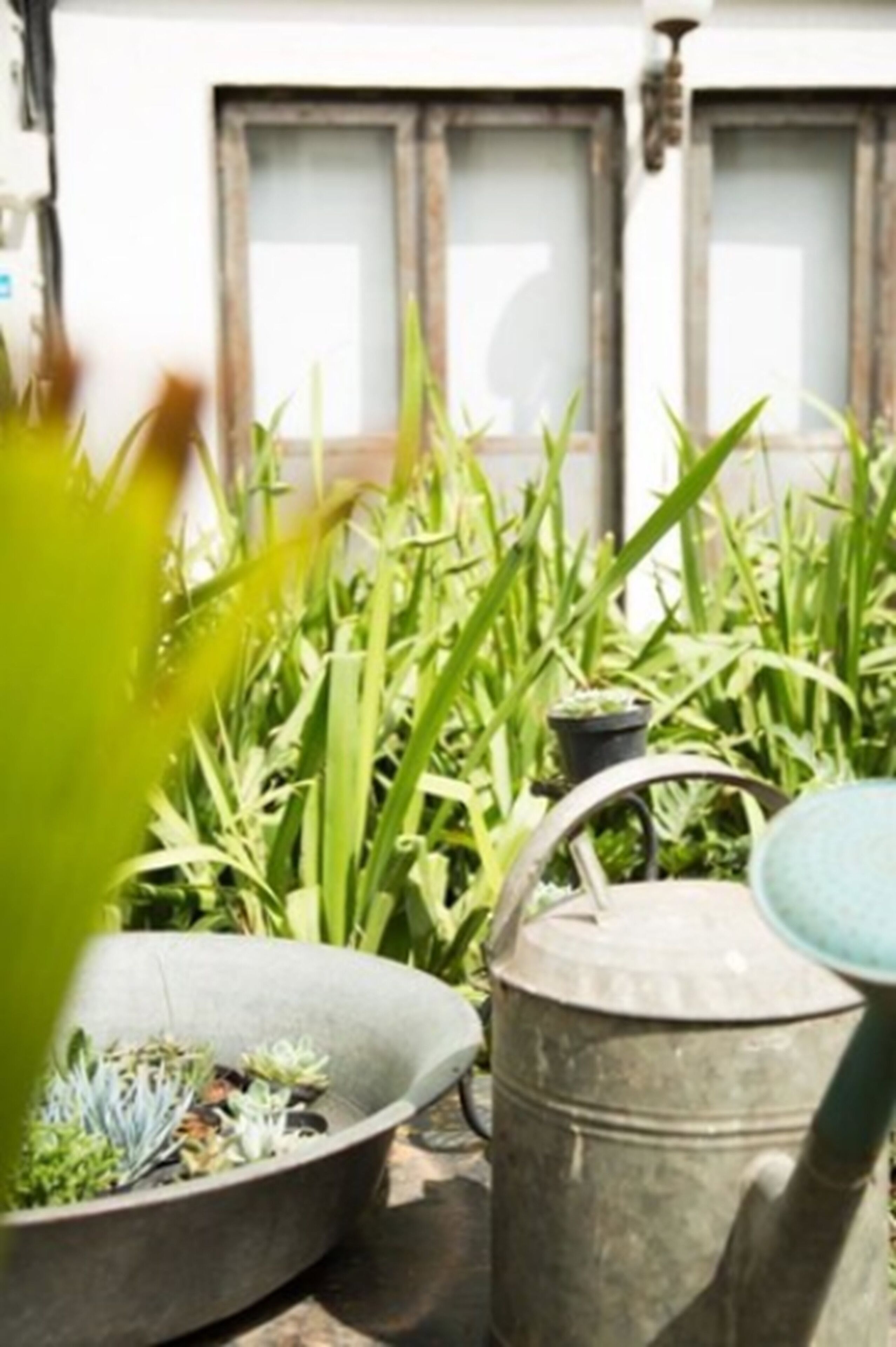 Foto - Guest Urban Hotel Design Pinheiros