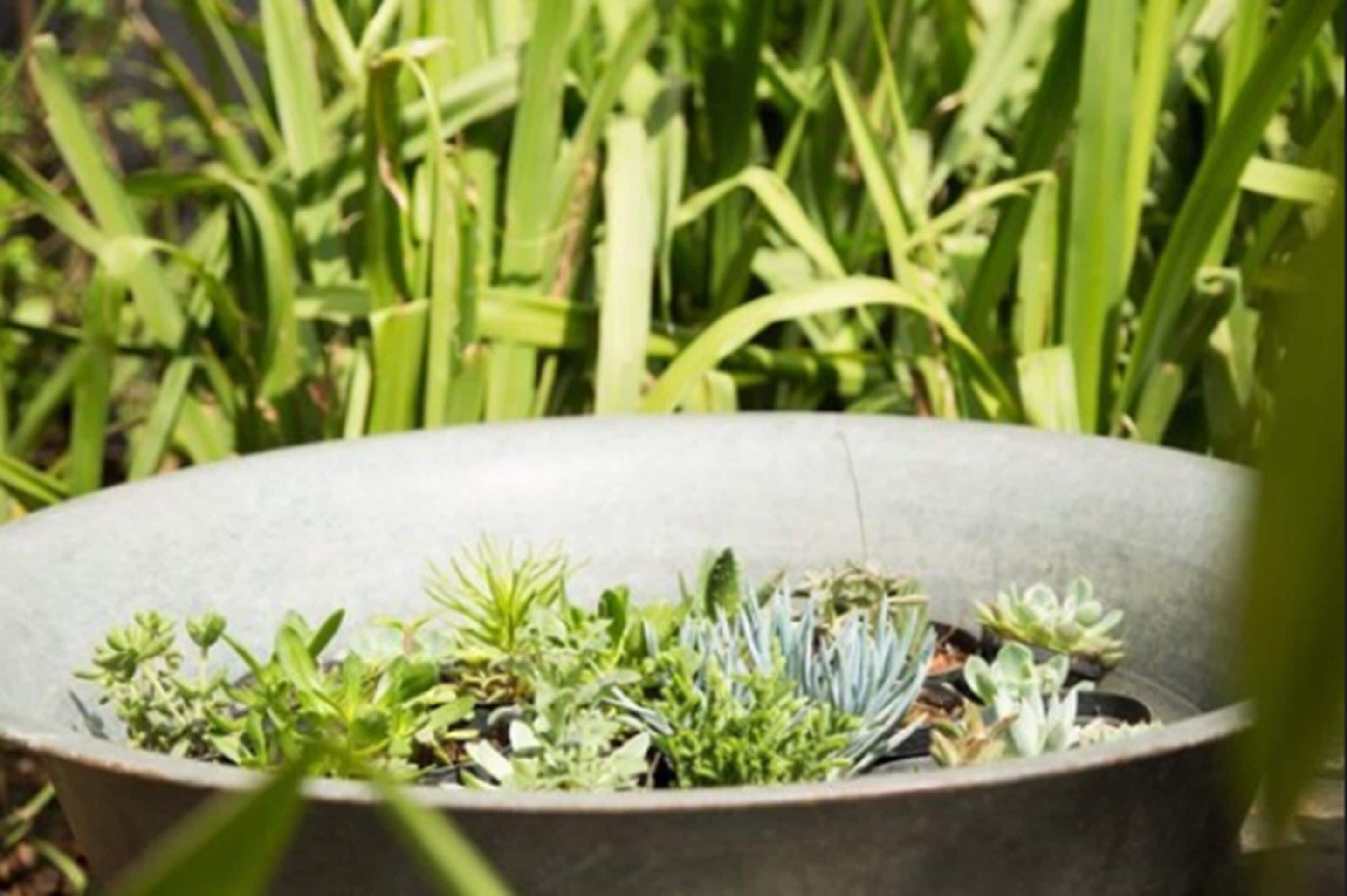 Foto - Guest Urban Hotel Design Pinheiros