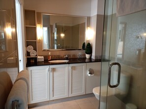 A modern bathroom with a glass shower enclosure, a large mirror, and a white sink.