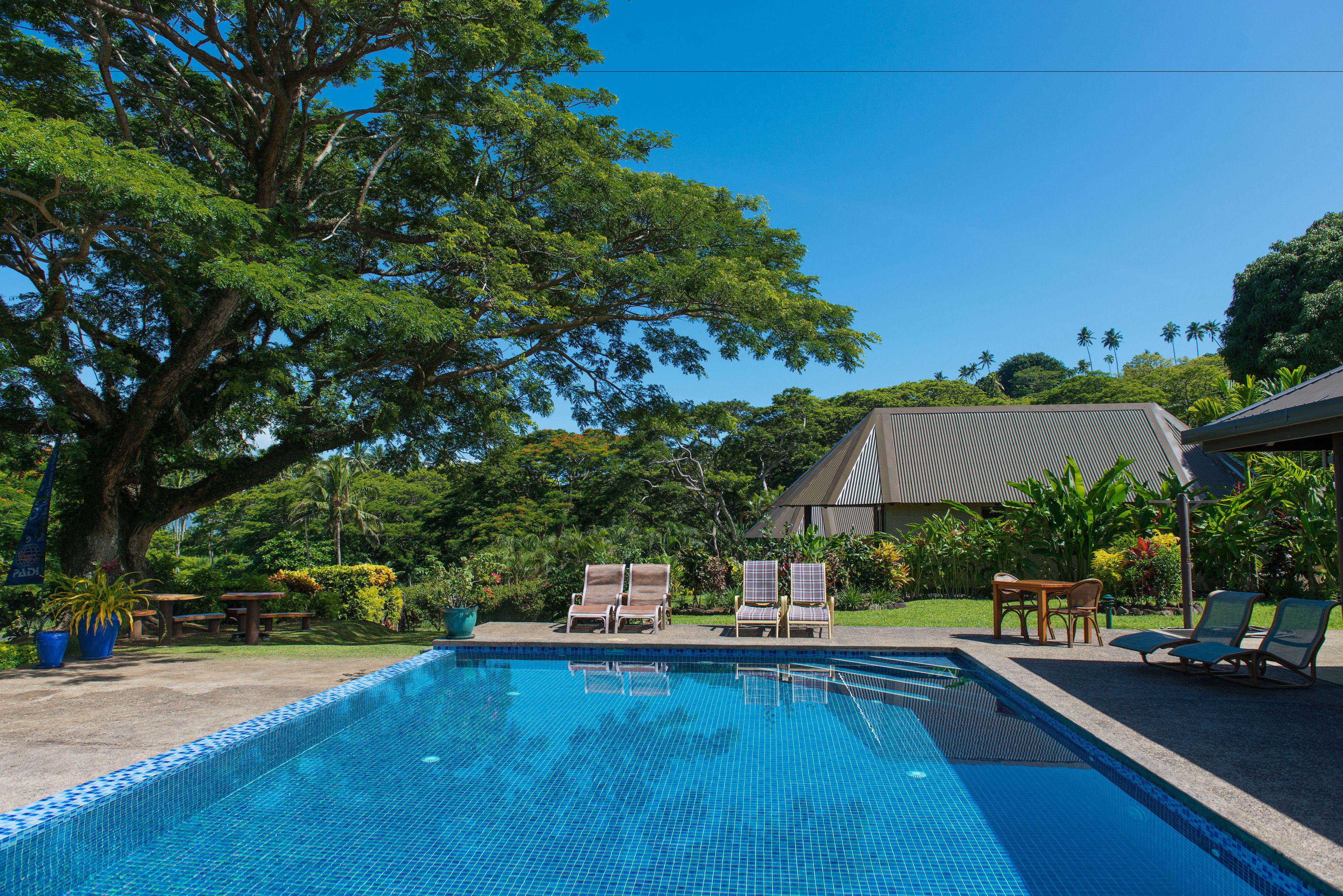Outdoor pool, sun loungers
