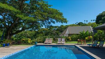Outdoor pool, sun loungers