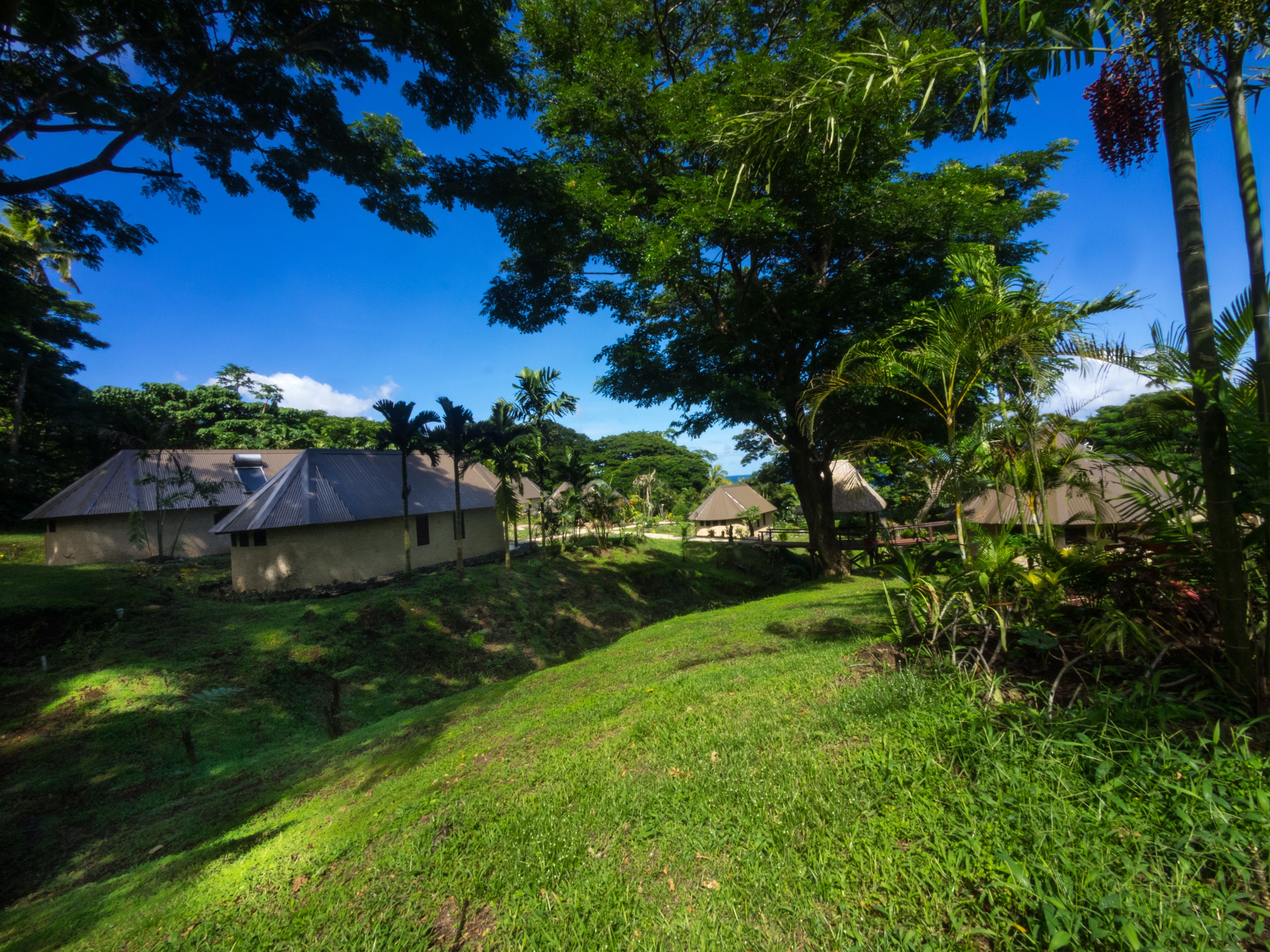 A rural village with traditional houses, lush greenery, and a clear blue sky.