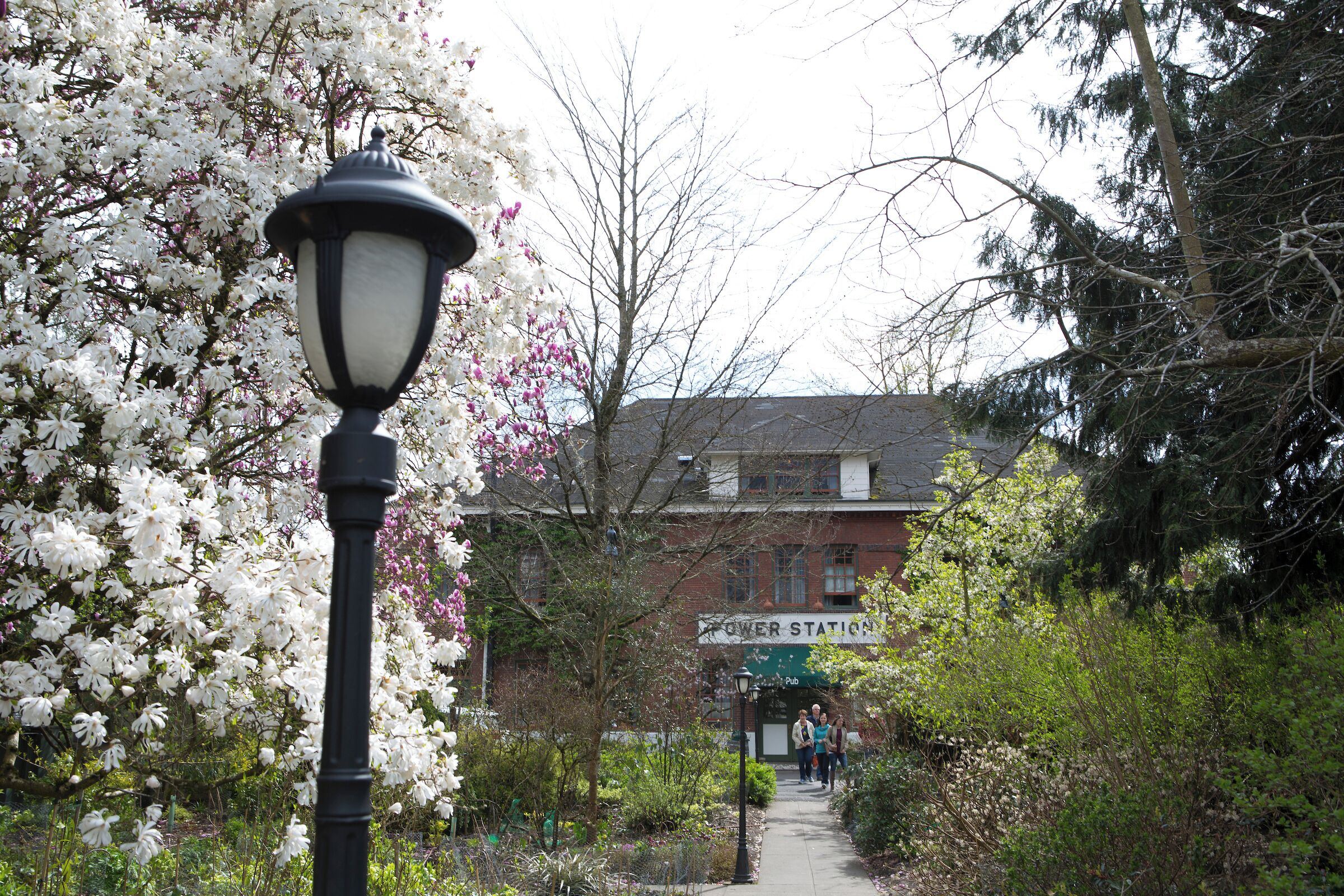 A pathway lined with blooming trees and a street lamp, leading to a building with a sign that reads "POWER STATION Pub."