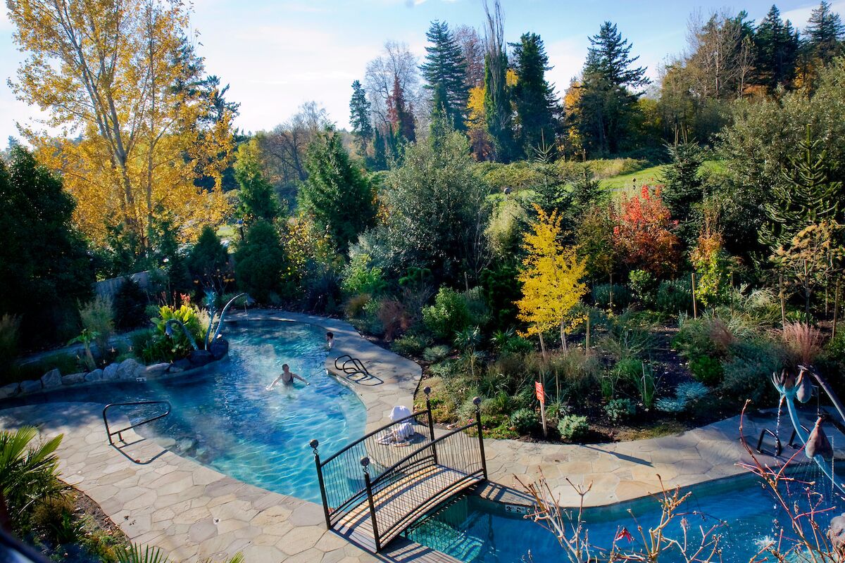 Piscina com deck de pedra, rodeada por vegetação exuberante e árvores.