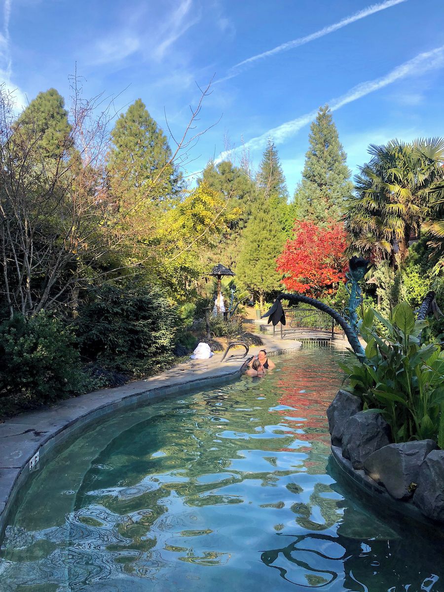 A swimming pool surrounded by lush greenery and trees.