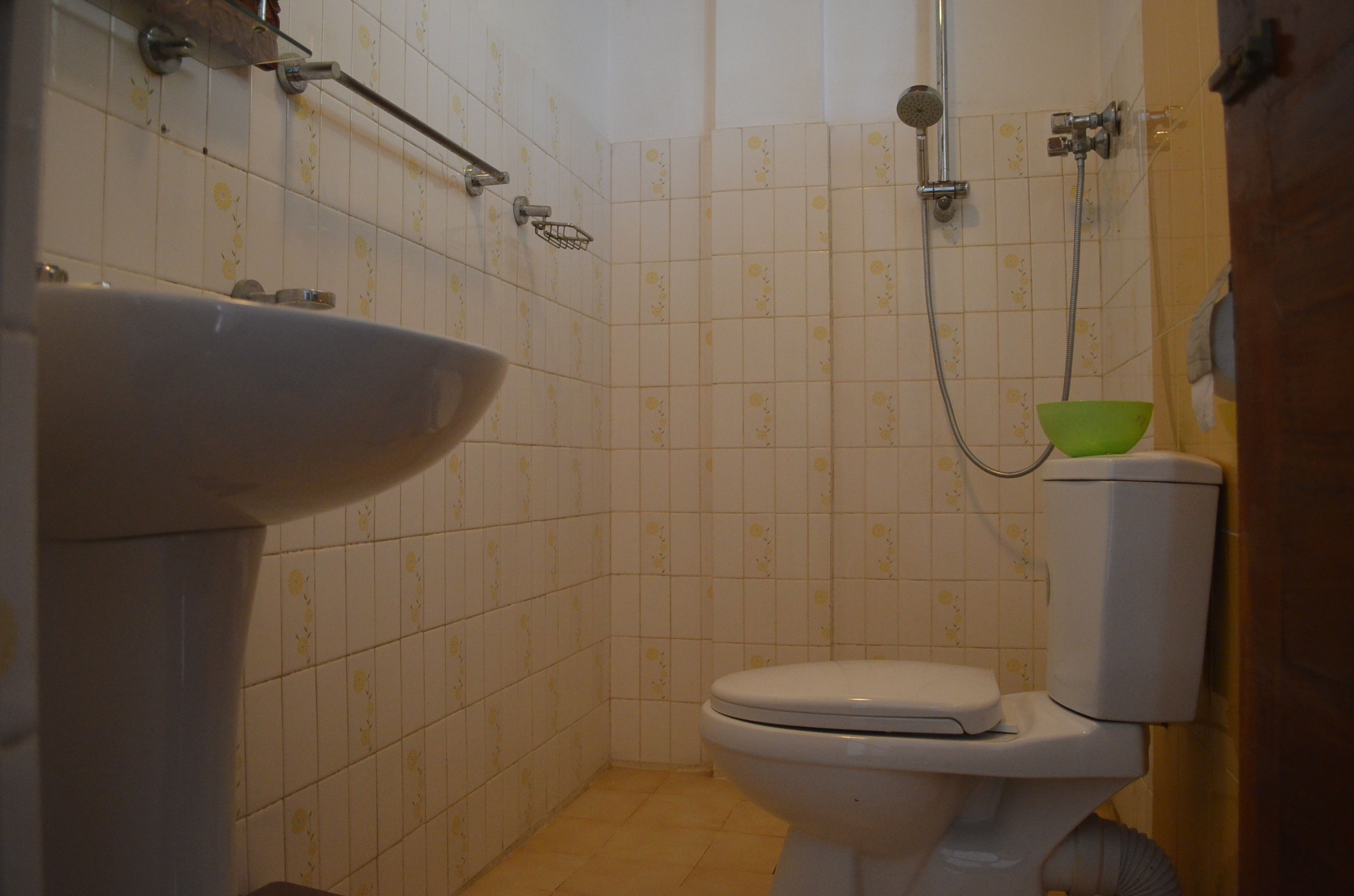 Une salle de bain avec des toilettes, un lavabo et une douche.