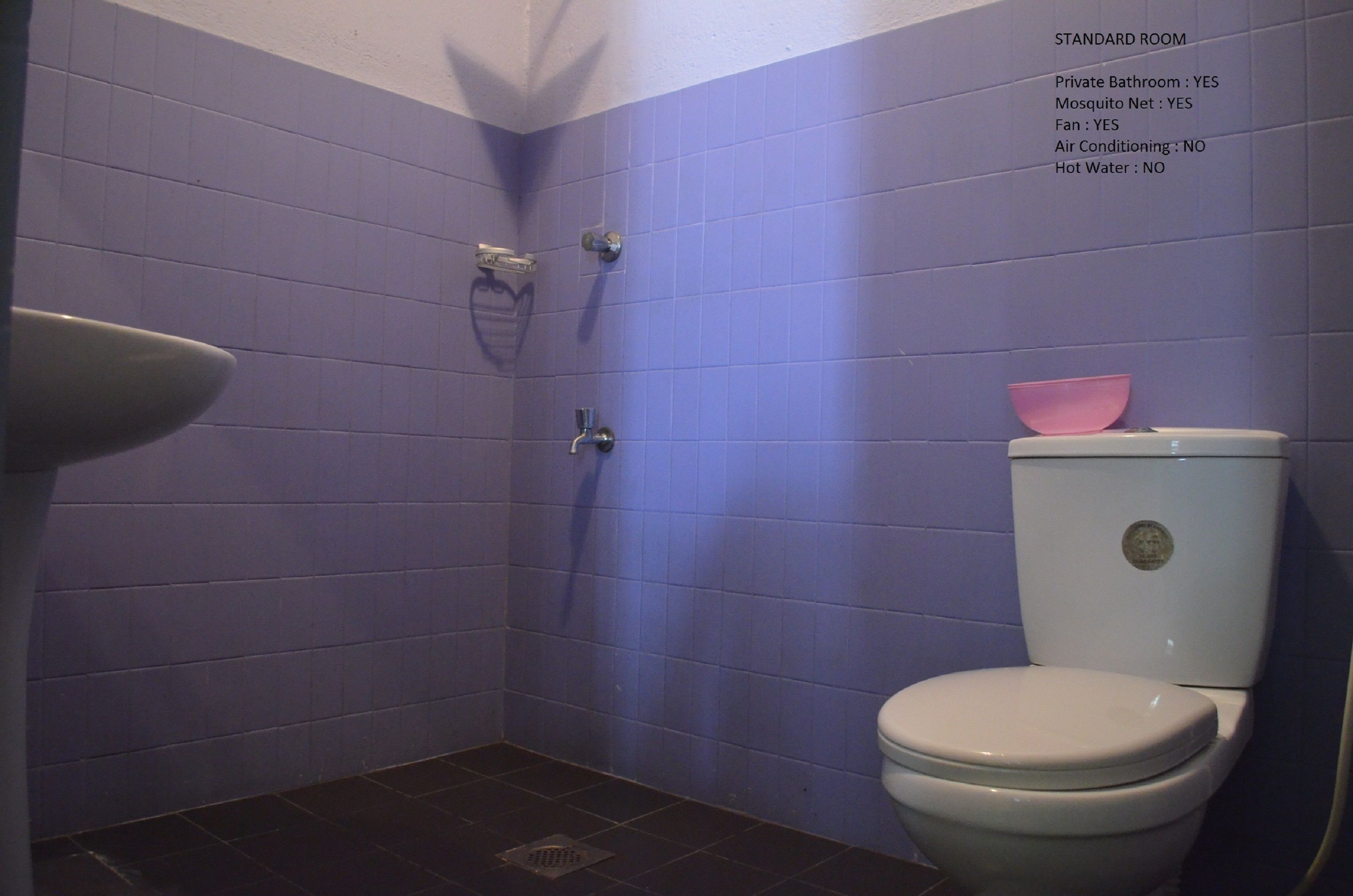 A standard room with a private bathroom, mosquito net, fan, and a toilet with a pink bowl.