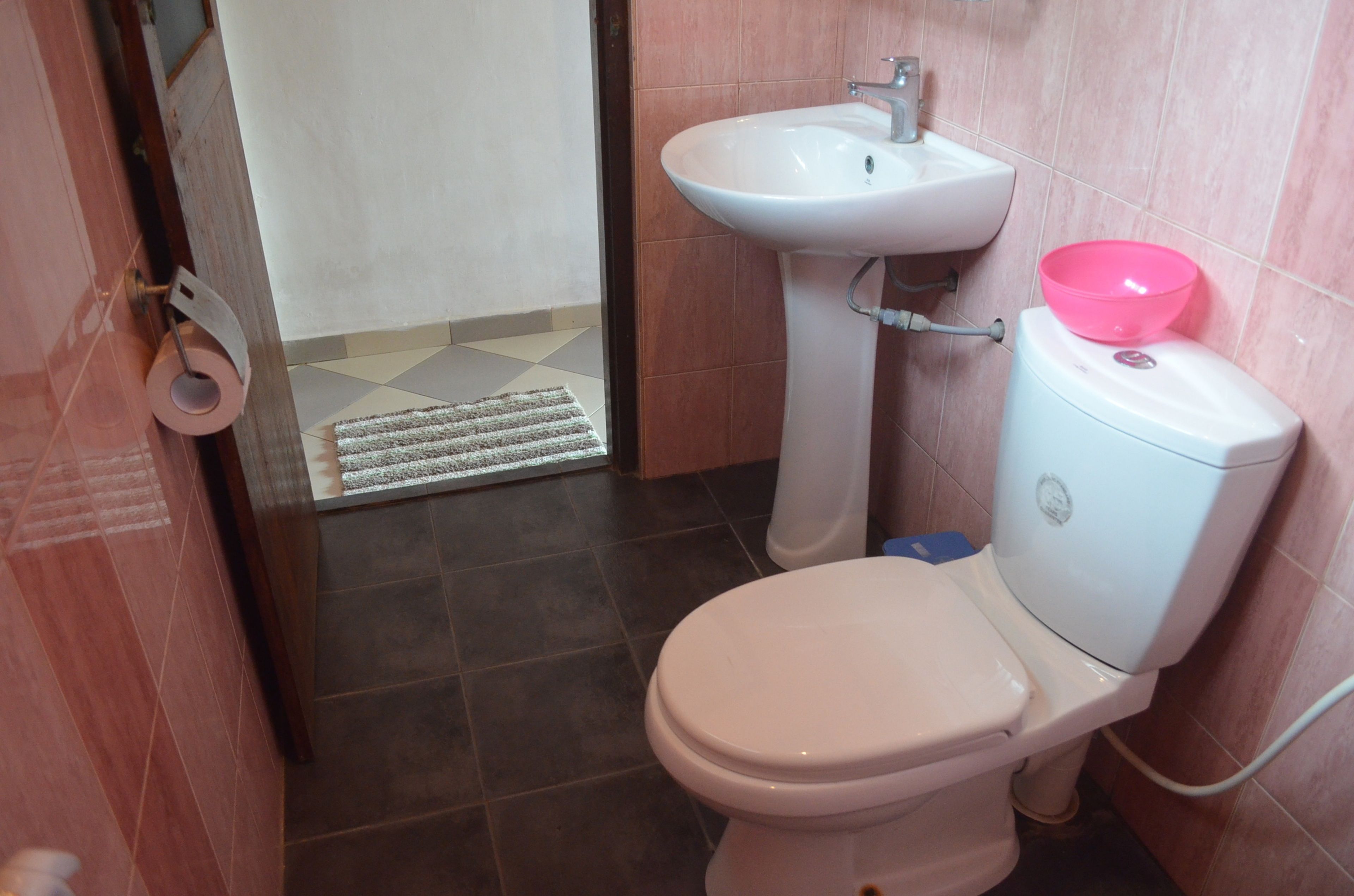 Een badkamer met toilet, wastafel en een roze kom op de tank.